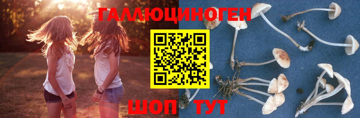 Псилоцибиновые грибы ЛСД Богородск